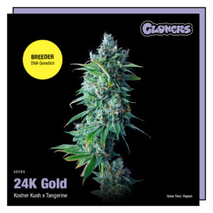 24K Gold