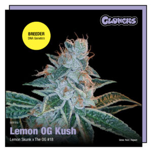 Lemon OG Kush
