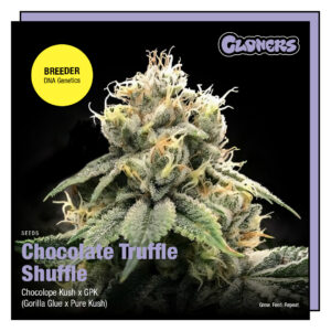 Chocolate Truffle Shuffle