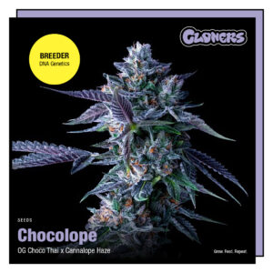 Chocolope
