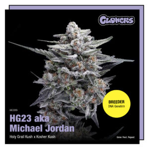 HG23 aka Michael Jordan