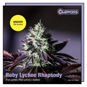 Ruby Lychee Rhapsody