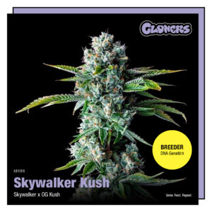 Skywalker Kush
