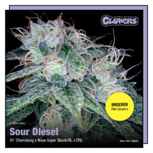 Sour Diesel