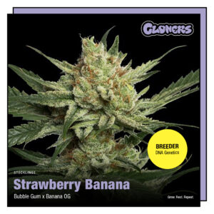 Strawberry Banana