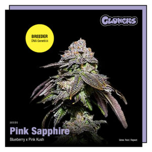 Pink Sapphire